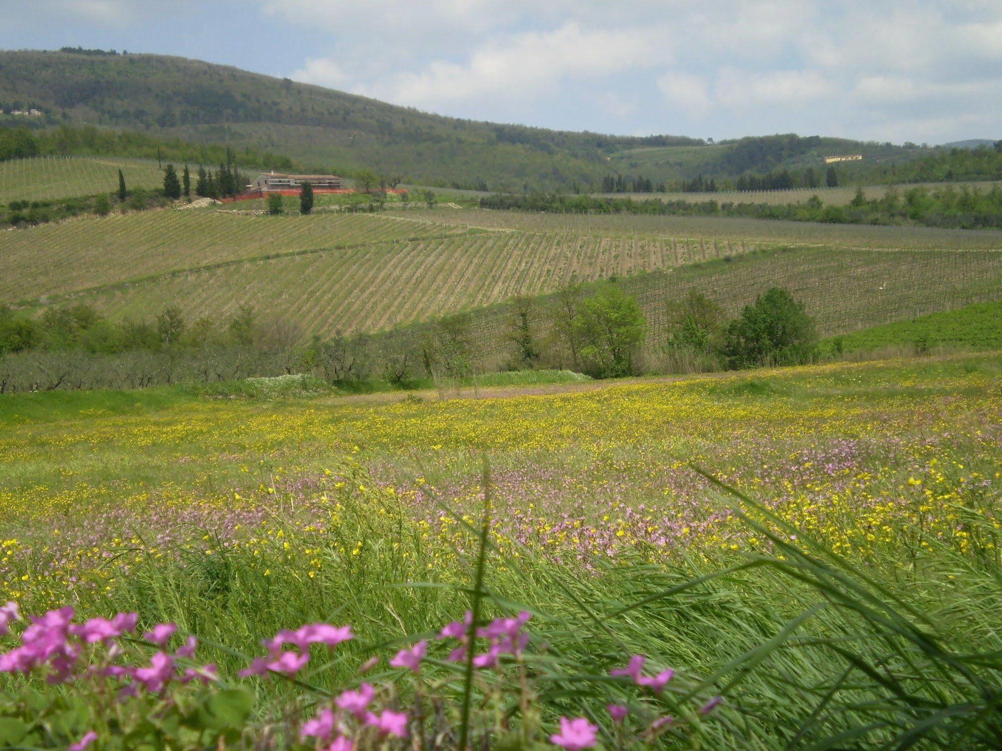 Nido Del Merlo Santomato Exterior photo